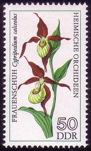 2140 Heimische Orchideen 50 Pf **