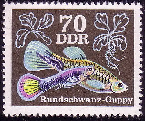 2181 Poissons d'ornement Guppys 70 Pf **