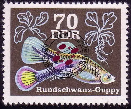 2181 Zierfische Guppys 70 Pf O