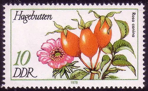 2287 Plantes médicinales 10 pf Cétacés **