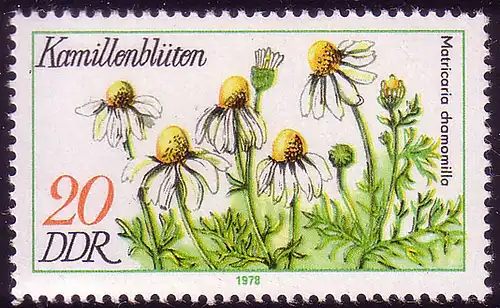 2289 Plantes médicinales 20 Pf Camomille **