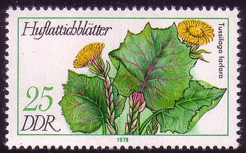 2290 Plantes médicinales 25 Pf Hufflatich **