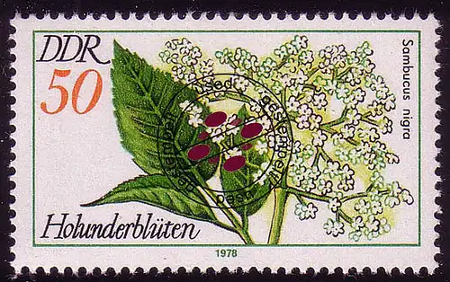 2292 Arzneipflanzen 50 Pf Schwarzer Holunder O