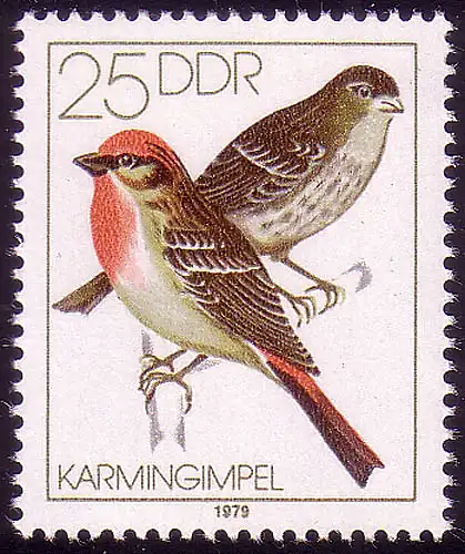2391 Heimische Singvögel 25 Pf Karmingimpel ** postfrisch