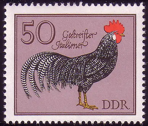 2399 Geflügelrassen 50 Pf Gestr. Italiener, Landhuhn ** postfrisch