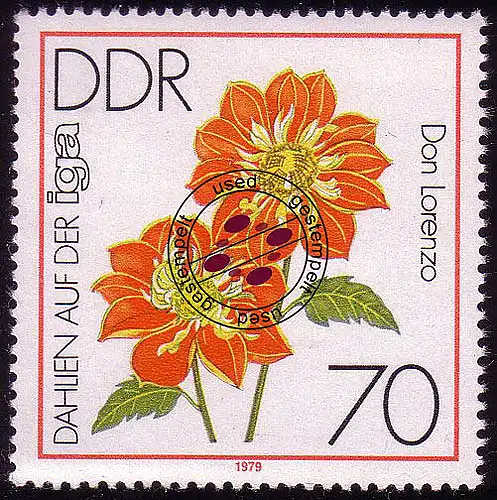 2440 IGA 1979 70 Pf Halskrausen-Dahlie O gestempelt