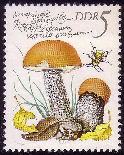 2551 Speisepilze 5 Pf Orangerote Rotkappe **