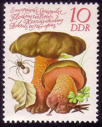 2552 Champignons comestibles 10 Pf tube de sorcière **