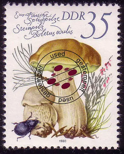 2555 Speisepilze 35 Pf Steinpilz O gestempelt