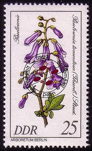 2576 Pf Paulowine O de plantes rares