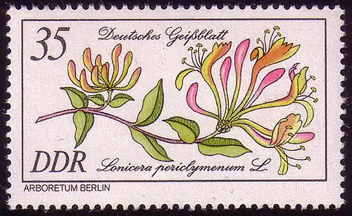 2577 Seltene Gehölze 35 Pf Deutsches Geißblatt **