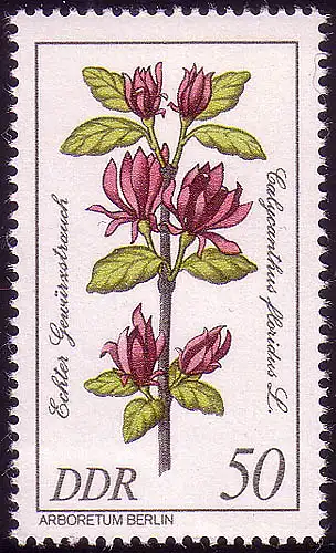 2578 Huile rare 50 Pf Épice authentique **