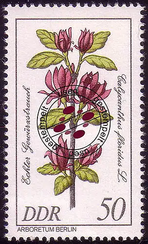 2578 Seltene Gehölze 50 Pf Echter Gewürzstrauch O gestempelt