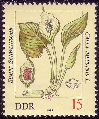 2692 Plantes toxiques 15 pf Ours de porc de marais **