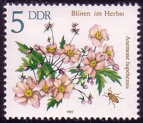 2737 Herbstblumen 5 Pf Herbstanemone **