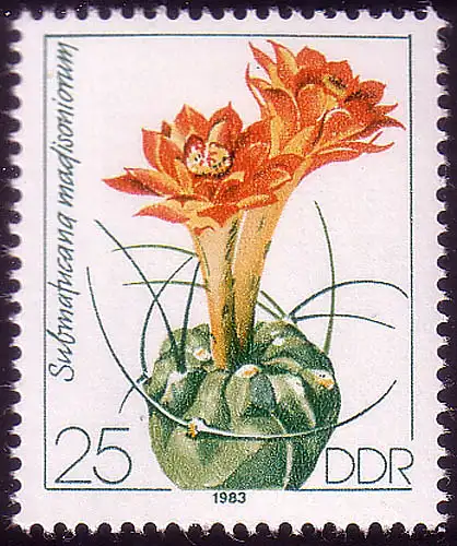 2805 cactus 1983 25 pf **