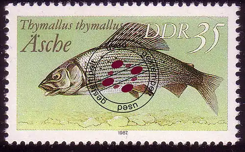 3098 Süßwasserfische 35 Pf Äsche O