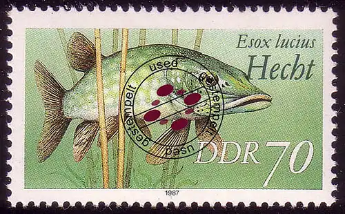 3100 Süßwasserfische 70 Pf Hecht O