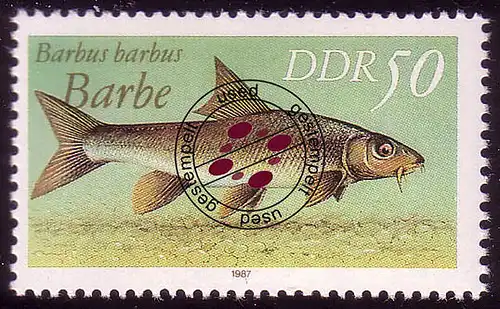 3099 Poissons d'eau douce 50 barbe Pf O