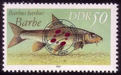 3099 Süßwasserfische 50 Pf Barbe O