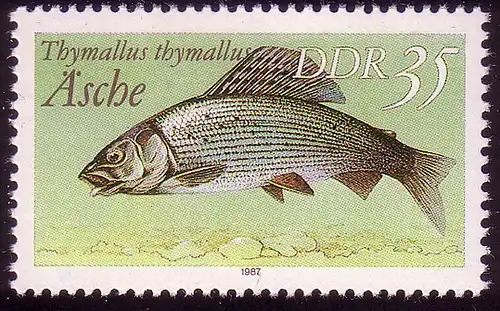 3098 Süßwasserfische 35 Pf Äsche **