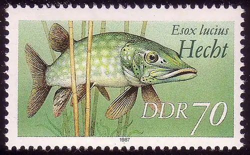 3100 Süßwasserfische 70 Pf Hecht **