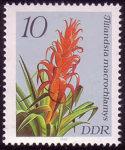 3149 Bromelien 10 Pf **