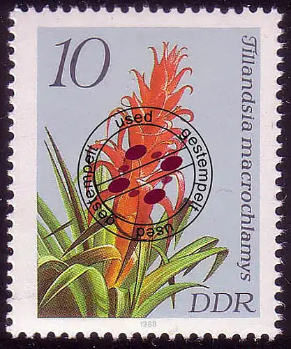 3149 Bromelien 10 Pf O gestempelt