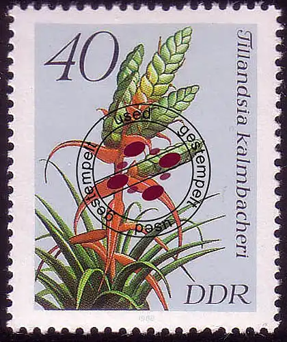 3151 Bromelien 40 Pf O gestempelt