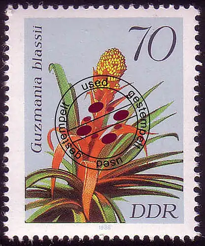 3152 BROMELIE 70 Pf O Tamponné