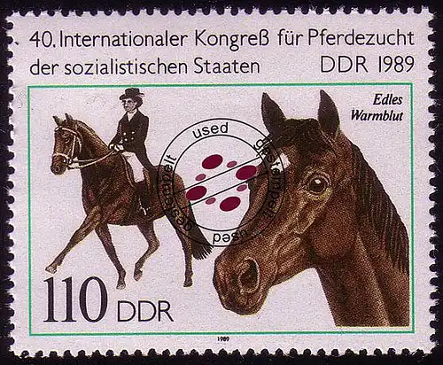 3264 élevage de chevaux 110 Pf Noble sang chaud O