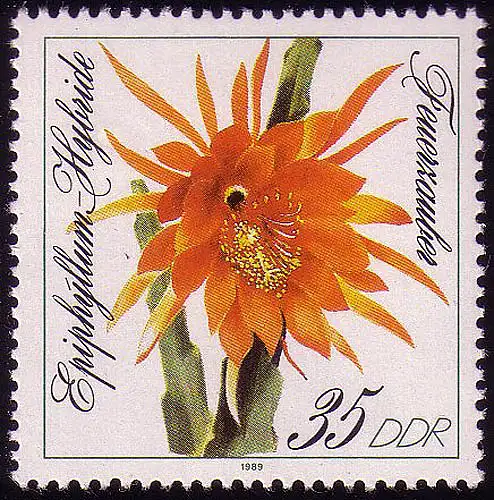 3277 Enceintes de feuilles 35 Pf Sorcier de feu **