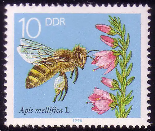 3296 Die Biene 10 Pf Blühendes Heidekraut **