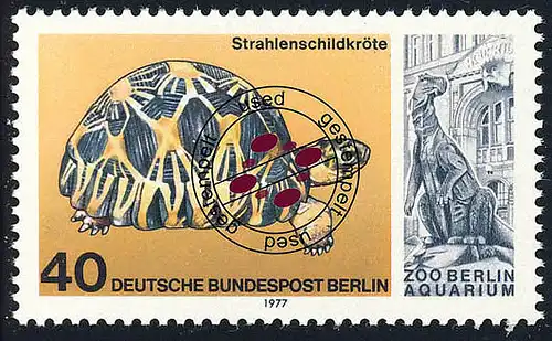 554 Aquarium 40 Pf Strahlenschildkröte O gestempelt
