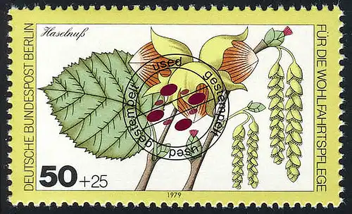 608 Bien-être Forêt 50+25 Pf Noisette O