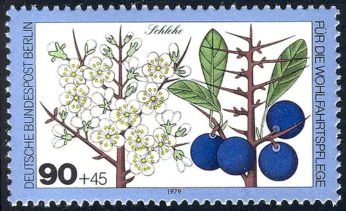 610 Wohnwald 90+45 Pf Schlehe **