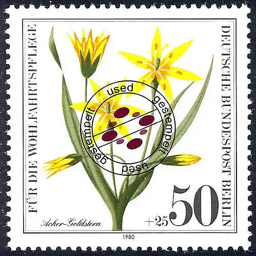 630 Wildkräuter 50+25 Pf Acker-Goldstern O