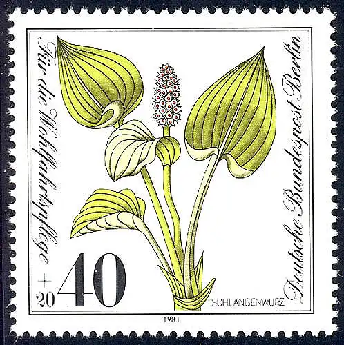 650 Pflanzen 40+20 Pf Schlangenwurz **