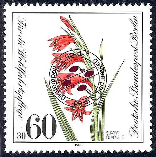 652 Pflanzen 60+30 Pf Sumpfgladiole O