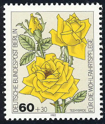 681 Rose de jardin de bienfaisance 60+30 Pf **