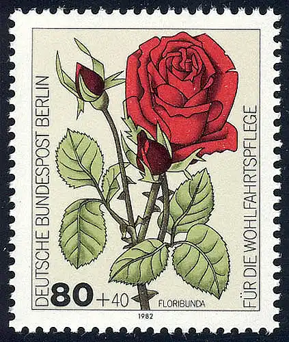 682 Rose de jardin de bienfaisance 80+40 Pf **
