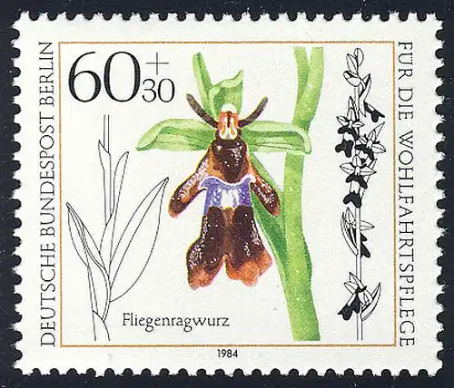 725 Orchidées de bien-être 60+30 Pf **