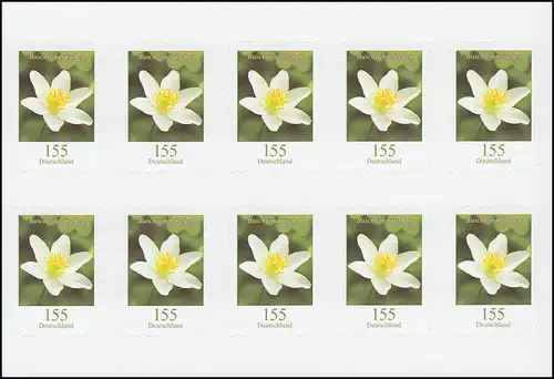 FB 91bI Rosier à vent, feuille ** (10x 3484), no -0151, Espacement ENGER