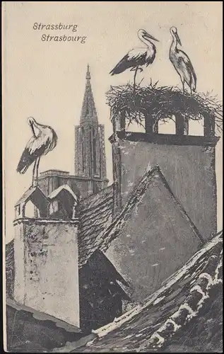 Ansichtskarte Strassburg / Strasbourg Störche in der Stadt, BADEN-BADEN 13.9.05