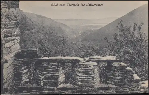 Ansichtskarte Blick vom Eberstein ins Schwarzatal, BAD BLANKENBURG 2.8.1920