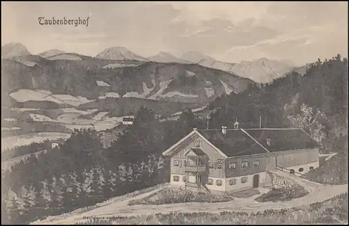 Ansichtskarte Taubenberghof, MIESBACH 12.6.1907 nach DELFT 13.8.07