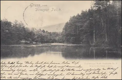 AK Gruss vom Donoper Teich - Teutoburger Wald-Postkarte Nr. 6, DETMOLD 17.4.1904