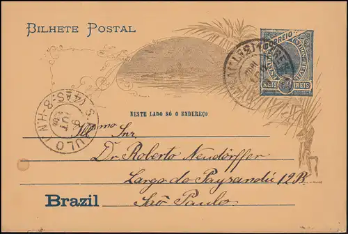 Brésil Carte postale 19/29 vers Sao Paulo 9.8.1905