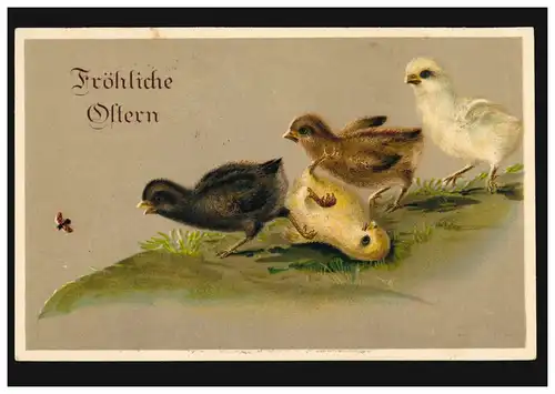 Carte de Pâques Quatre poussins chassent un insecte, couru 3.4.1926