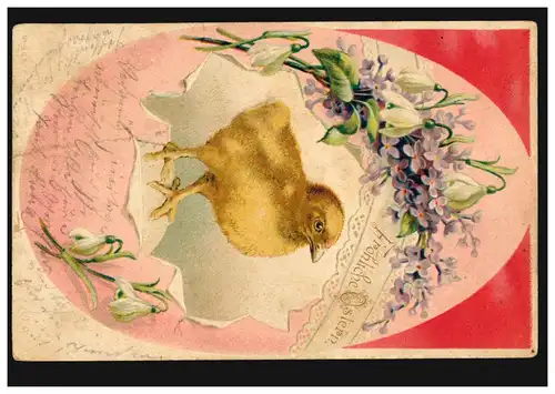 Carte de Pâques de poussins dans l'œuf de pâque, HAMBURG 29.3.1902